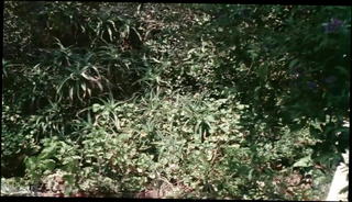 Video 510385501: vintage retro, vintage straight, american retro, hd retro