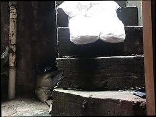 Video 1603122741: hairy twinks bareback, gay bareback twink boy, bareback gay teen twinks, white twink bareback gay, hairy hunk bareback, barebacks young twink gay, black twink barebacks amateur, big dick twinks bareback, twink big cock bareback, twink bareback cum, twinks blowjob bareback, hairy muscle bareback, tattoo twinks bareback, twink hot bareback, monster cock bareback gay, dirty gay bareback, twink handjob cum, hairy teen webcam, hairy dirty talking, pakistani twink gay, hairy man big dick, hairy mature boy, gay twinks brazilian, hairy french teen, gay twink public, hairy teen hd, neighbor bareback, bareback married, twink helps, flashing hairy