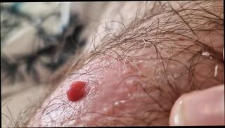 Video 1609922841: hairy uncut daddy, uncut piss gay, hairy uncut bear, hairy uncut white, pov pissing, hairy amateur gay, dirty talk piss, gay men pissing, hairy european amateur, amateur pov close, pov hd amateur, scottish gay