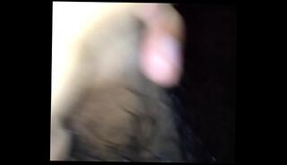 Video 328714565: solo masturbation uncut, str8 solo, solo boy masturbation, uncut latino, uncut mexican, hispanic boy