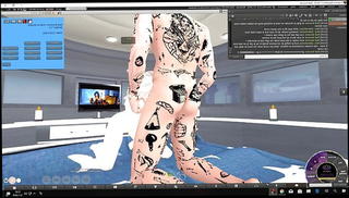 Watch the video about Second Life 4 Some