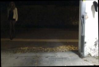 Video 331573401: amateur sissy crossdresser, gay sissy crossdresser, sissy pantyhose, travesti sissy, ts sissy, sissy outdoor, gay hd