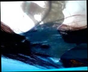 Video 114055801: alexandra daddario, gay cum