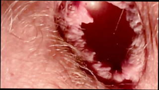 Video 1568934951: anal dildo gaping ass, dildo ass hole gape, ass sex toy dildo, gay gaping ass hole, gaping amateur ass, dildo ass masturbation, anal gape close, gay bear dildo, amazing ass hole