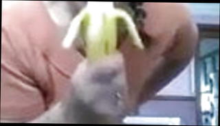 Watch the video about Makcik gersang gila