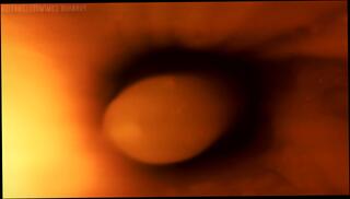 Video 1396791103: condom creampie, cum filled pussy creampie, amateur cum creampie, fuck cum creampie, vaginal creampie, pussy creampie close, condom first, intimate creampie, camera creampie, penis cum