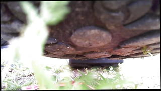 Video 1512634101: foot fetish femdom, fetish feet femdom, milf foot fetish, foot femdom trample, foot crush fetish, public foot fetish, italian foot fetish, redhead foot fetish, foot fetish european, foot fetish hd, straight foot, giantess foot crush, shrinking fetish, park foot