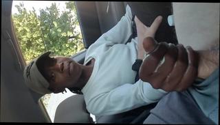 Video 347944804: car action