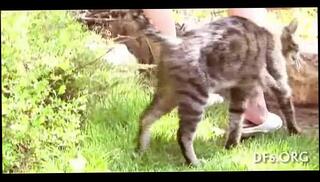 Video 78758795: hardcore virgin defloration, defloration finger fucks, finger fucked closeup, virgin teenie fucking, teen virgin amateur, teen virgin first, young virgin teen, russian virgin teen, cock virgins, fingers fucks white, finger fucked european, 1st cock