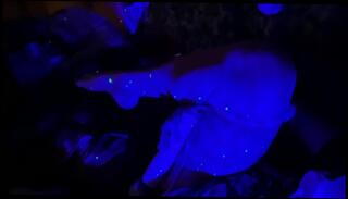 Video 1575881893: bdsm bondage slave, bbw bdsm slave, bondage slave orgasm, bondage anal slave, amateur bondage slave, breast bondage bdsm, bdsm hardcore bondage, slave milking, bound milked, slave anal toyed, bondage masturbation orgasm, hardcore bdsm porn, mommy milk, slave vibed, milking cow, female slave, breastfeeding