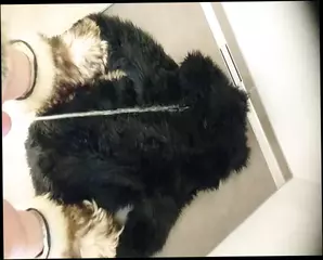 Video 1576251931: gay emo twinks piss, twink piss cum, pissing slave gay, skinny slave cums, twinks gay young piss, gay twink pee, bdsm anal slave, amateur bdsm slave, skinny twink masturbating, shower peeing piss, pee pissing toilet, pissing penis gay, twink erections gay, stepsister cum, old twink cums, austrian gay