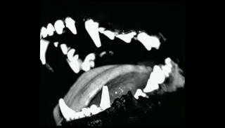 Video 1173666315: shemale furry, furry porn