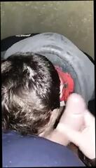 Video 372589701: gay glory hole, glory hole blowjob, french gay