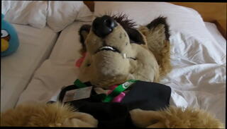 Video 966870475: gay furry, gay jerking, jerking cumshot