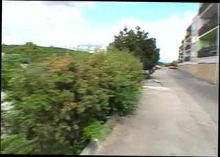 Video 94897204: milf stud, stud outdoors, amateur public blowjob, wild blowjob