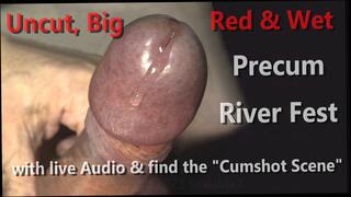 Video 1605827681: uncut cock cumshot compilation, solo gay uncut cock, solo uncut cock masturbating, uncut cock pov, big cock solo compilation, pov cum compilation, amateur pov compilation, solo play compilation, hd pov compilation, uncut cock gay porn, gay handjob cumshot compilation, amateur homemade cumshot compilation, dick solo masturbating cumming, uncut cock precum, women compilation, stretching compilation