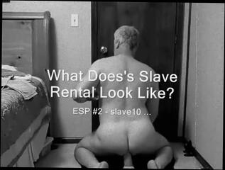 Video 317319001: bdsm sex toys, bdsm gay sex, daddy bdsm, cock bdsm, small cock gay sex, pussy stretched, great pussy