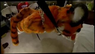 Video 981043075: bdsm gay bondage, furry cum