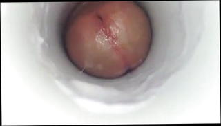 Video 857145101: anal toy cum, gay anal toy, toys moaning, toy cum inside, good cum