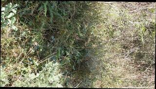 Video 1658470371: pov wank, homemade pov, pov masturbation, gay pov, hard pov, pov british, hd pov, wanking outside