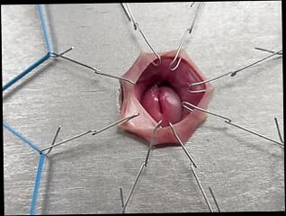 Video 1601529741: bdsm gay porn, amateur bdsm porn, cbt