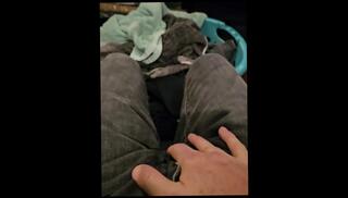 Video 1625205043: solo male piss, pissing male gay, piss desperation, soaking