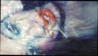 Video 912125701: slutty friend, gay friend, man gay, gay hd