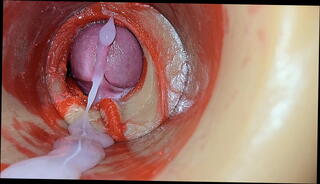 Video 1653919665: milf slave squirt cuckold, cum milf slave squirt, bbw milf squirt cum, anal creampie pov milf, hot pov cuckold creampie, bbw milf oils, fucks cuckold wife creampies, squirting orgasms wife milfs, creampie pussy squirt orgasm, sexy bbw milf wife, cock cum milf slave, bbw amateur milf wife, milf homemade orgasm squirting, sexy milf pov handjob, pov sex blowjob creampie, milf ass fucked creampied, tit bbw milf fucks, squirt orgasm huge creampie, cock deep pov creampie, milf wet pussy squirting, milf big ass oiled, bbw milf swallows, creampie wild pov, squirt queen milf, bbw squirt cream, tight milf squirting, milf play squirt, lady sex amateur milf, swallows pov cum load, juicy pussy squirt orgasm, anal orgasm creampie close, cuckold kissing wife, long squirting orgasm, squirting swollen, cucumber squirt, ejaculate deep, male ejaculation