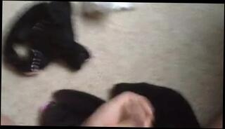 Video 70603101: gay man wanking, friends dirty panties, bedroom wank