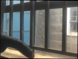 Video 1624753203: bbc creampie cuckold, pov closeup creampie, bbc creampie twink, dick twink solo cum, cuckold husband caught, bbc solo moaning, cuckold handjob bbc, bbc solo male cumshot, big dick cuckold creampie, amateur cuckold bbc, cuckold bbc blowjob, huge bbc creampie, boy caught jerking, pov outdoors amateur blowjob, busted caught, amateur college pov, twink public cum, men solo cum, solo muscular male