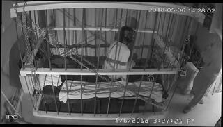 Video 706642265: bdsm gay bondage, bondage cage, cam