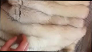 Video 640703885: dick tease