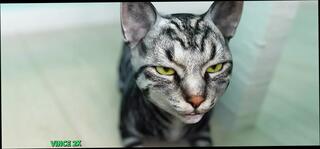 Video 1624627361: anime hentai 3d uncensored, hentai 3d anime sex, 3d animation futa, hentai anime joi, 3d animation hard sex, 3d animation hot sex, fucked hard animated hentai, hentai anime blowjob, feet foot fuck, hottest anime hentai, hd 3d animation, hentai love 3d, sis joi, fucking hot step sis, anime straight