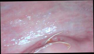 Video 320120603: milf gape pussy, milf amateur fetish, pussy gaping masturbation, teen gaping pussy, milf amateur small tits, milf masturbating mom, milf babe masturbates, redhead gaping pussy, gaping cunt, amateur petite redhead milf, tit red head milf, milf mom mother, young milf masturbating, amateur teen masturbating