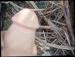 Video 1583887491: teen boy masterbating, amateur gay masturbation, penis jerking, horny penis, bangladeshi boy, very hard horny, jerking outside