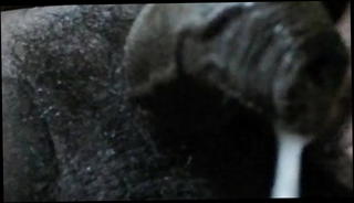 Video 1537953601: cock handjob cum, cock masturbation cum, amateur handjob cum, gay masturbation cum, indian handjob cum, masturbating asian cums, amateur black cum, small cock cum, amateur masturbation hd, penis hand, amateur locker, wet penis