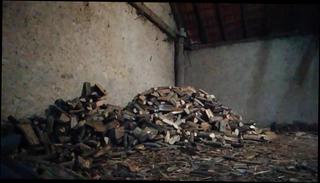 Video 486309201: gay boy small cock