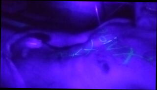 Video 1326393965: solo male oil, solo boy gay porn, solo gay boy masturbates, amateur solo gay porn, solo home gay porn, oiled cock masturbation, solo big cock masturbation, solo masturbation big dick, hardcore solo masturbation, alone solo masturbation