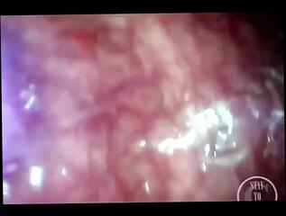 Video 1654056421: fetish solo, solo shemale amateur, pov deep anal, young shemale solo