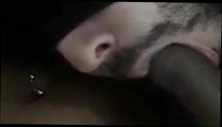 Video 784337401: shemale dominates couple, black shemale domination, dominate suck, brazilian domination, big cock shemale, shemale mouth