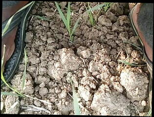 Video 1606773521: gay porn boy cum, boy handjob cum, gay porn boy outdoor, gay porn indian boys, boys home, boy stocking