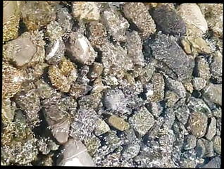 Video 1598836081: shemale milf solo, sexy milf solo, tits milf solo, amateur milf solo, beautiful milf solo, european milf solo, milf solo hd, solo sexy amateur girl, hot milf trans woman, tranny solo trans, milf amateur small tits, russian girl solo, pretty solo girl, solo girl outdoor, shemale public solo