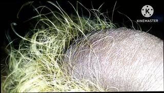 Video 1610928121: cartoon anime gay, anime bdsm, fetish anime, fetish bdsm asian, anime gay boy, anime young boy, indian gay bdsm, gay black cartoon, daddy bdsm, anime old, anime hd, african bdsm, desi bdsm, mature cartoon