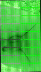 Video 336121801: shemale ass solo, solo shemale amateur, ass solo hd, wild solo, outdoor solo, dick ass