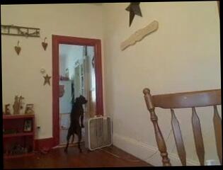 Video 189758401: ass butt boobs tits, ass butt big boobs, big boob webcam babe, amateur webcam big boobs, tits nice butt, straight butt