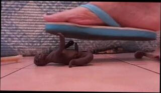 Video 83567201: foot fetish femdom, flip flop foot, foot crush fetish, cock crush foot job, straight foot, giantess foot crush, nurse foot