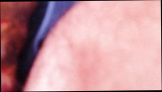 Video 1454566301: twins anal, twins masturbation, gay twins, anal masturbation hd