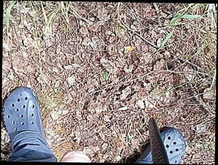 Video 1611695231: pee pissing outdoor, solo piss, pissing teen boys gay, pissing young gay boy, pissing fucking boy, gay homemade solo, pissing men boy, pissing boys public, solo european teen, teen solo hd, pissing german