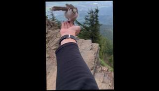 Video 1251427203: pov solo female, babe blowing cock pov, amateur pov blow job, best amateur solo girl, girl pov bj, blows big dick pov, solo brunette amateur babe, sexy amateur pov, amateur brunette pov blowjob, pov amateur outdoor, pretty babe solo, beauty pov dick, amateur public pov, pov nerdy, pov natural, outside pov, pov head, sexy cock hungry, gangsta dick