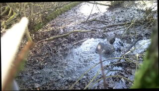 Video 1180918345: jerking wanking, gay wanking, gay mud, wank wet